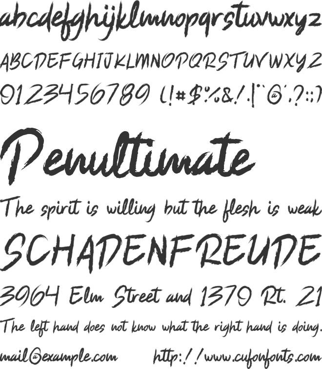 Shaker Rocker font preview