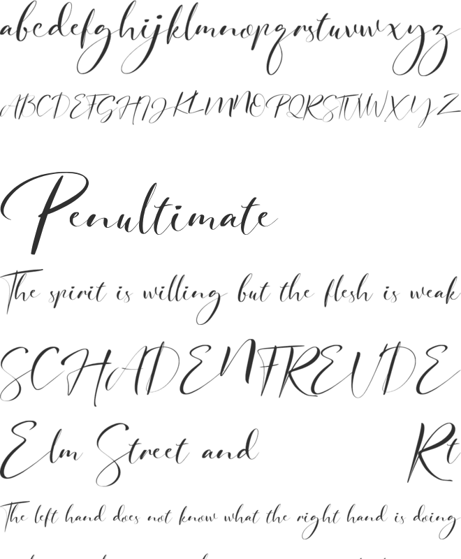 signature Photopedia font preview