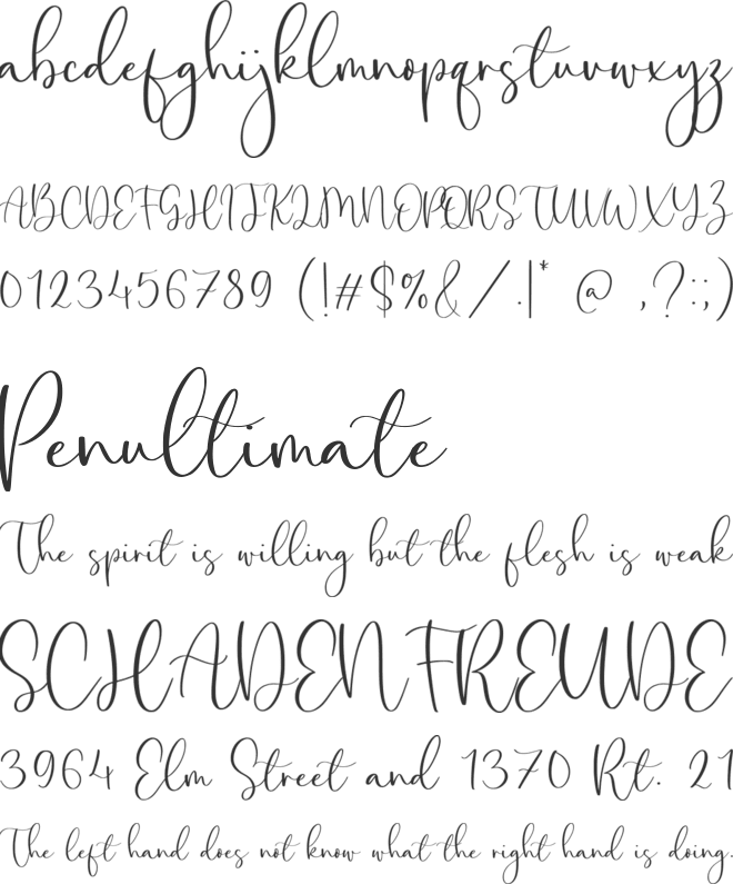 Amalia Salvatore font preview
