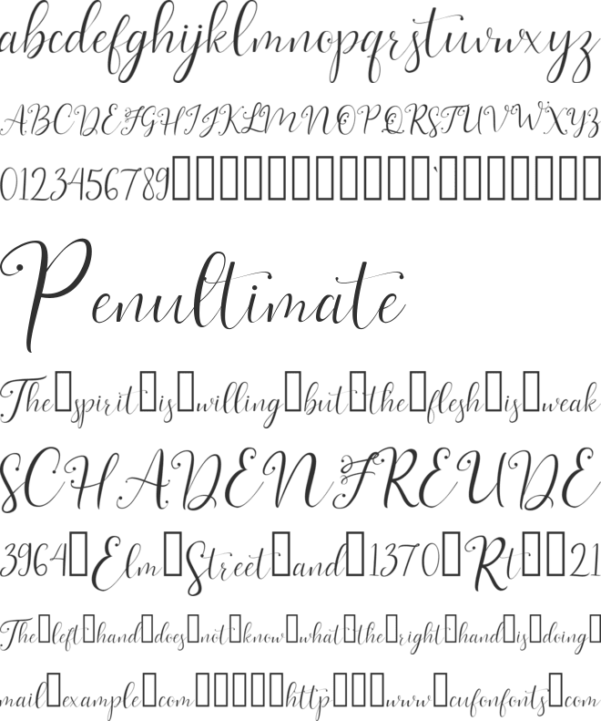 livelove font preview