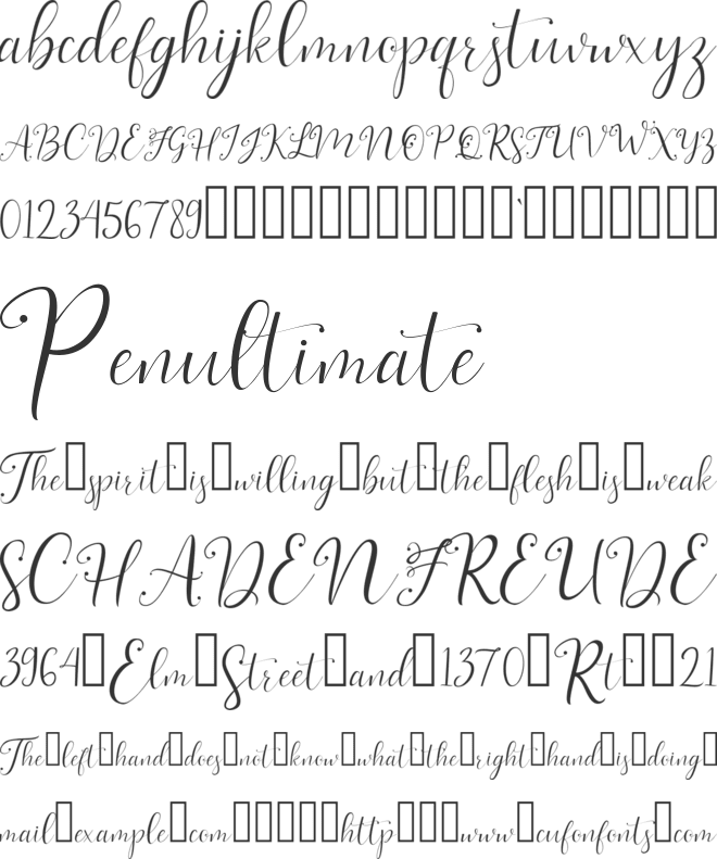 livelove font preview