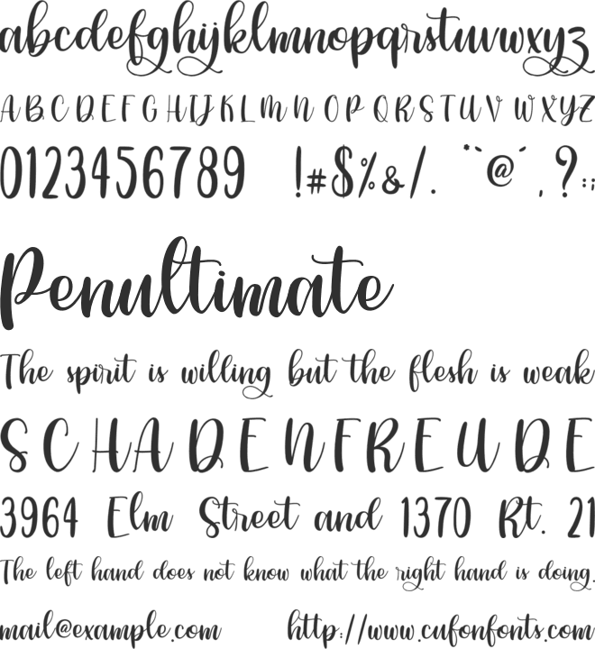 Phiscilla - Personal Use font preview