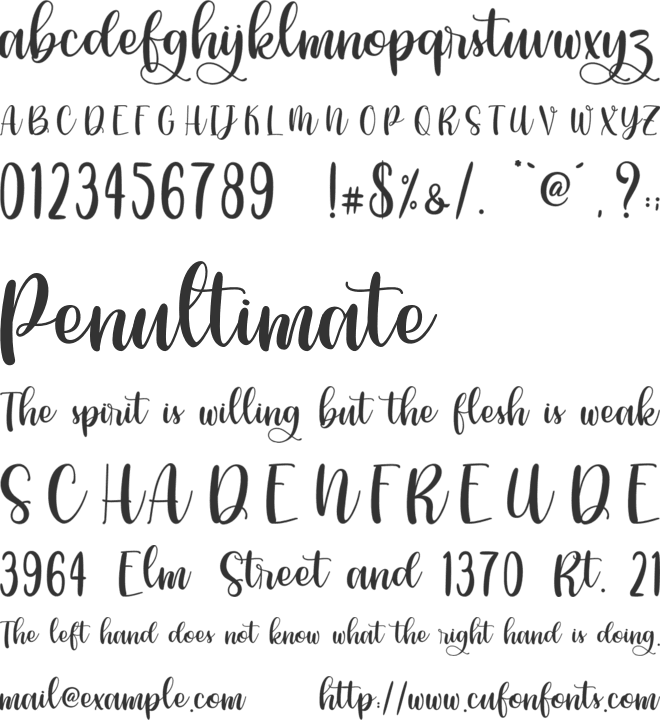 Phiscilla - Personal Use font preview
