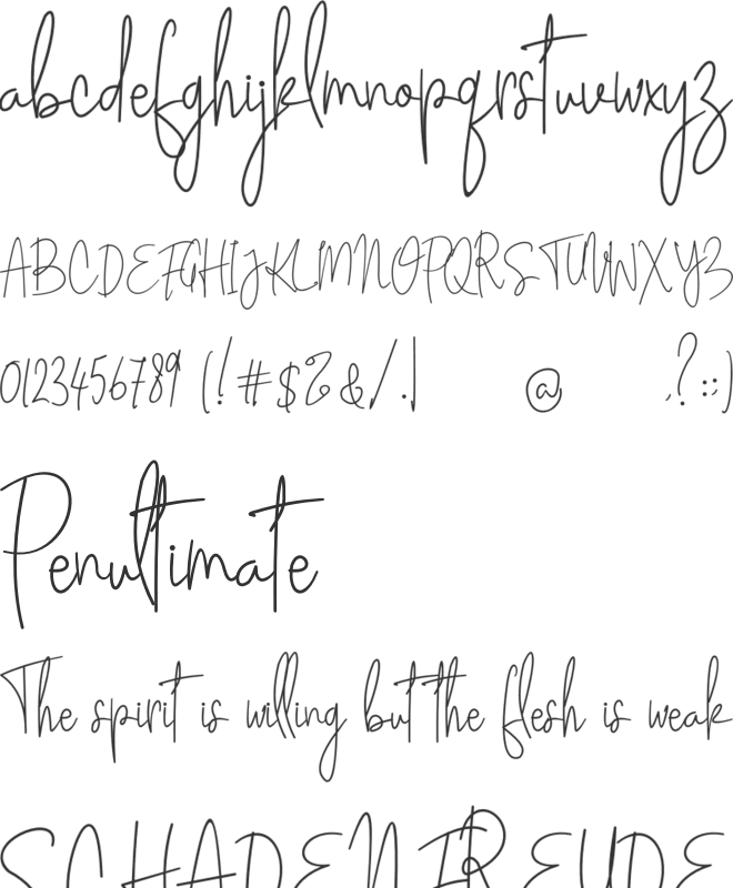 Ekuador City font preview