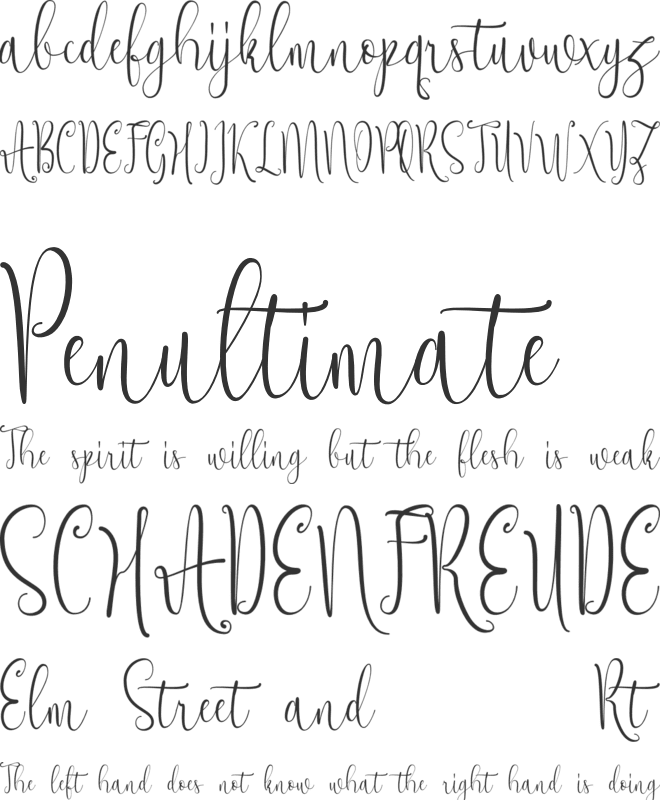 Sekut font preview