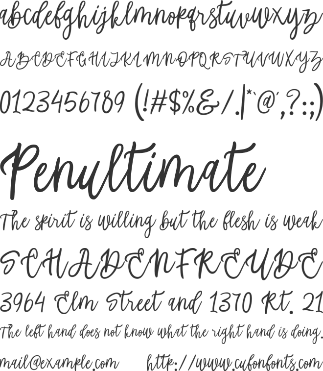 Rachelya font preview