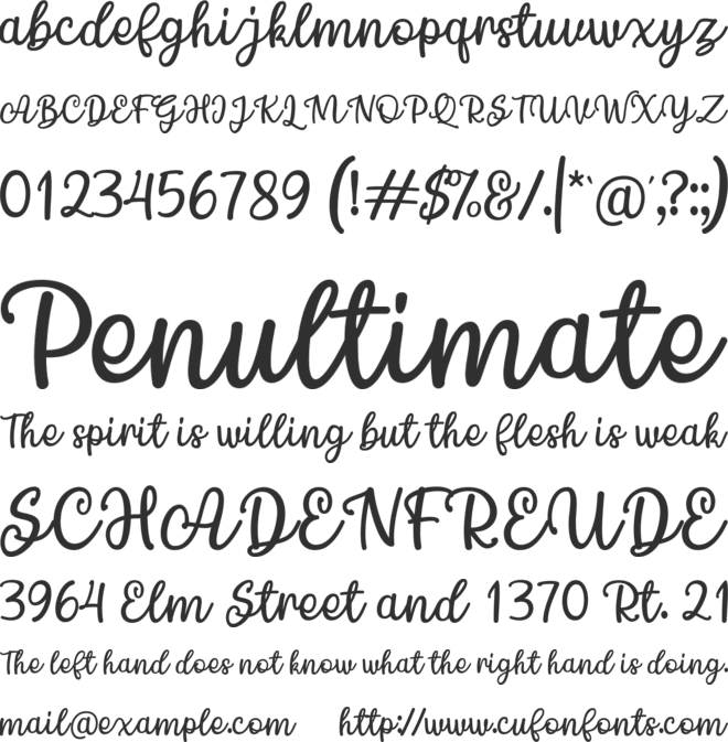 Chamomile font preview