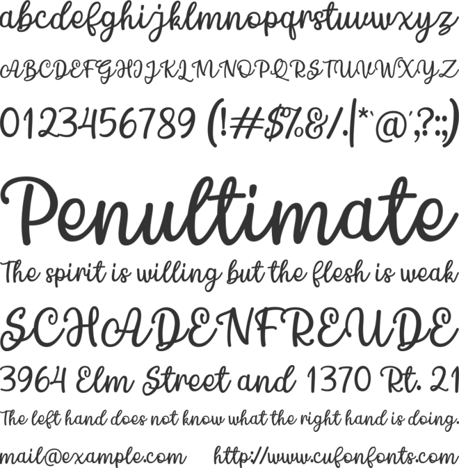 Chamomile font preview