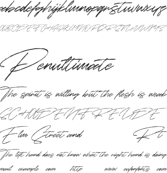 Sunset Trips Signature Free font preview