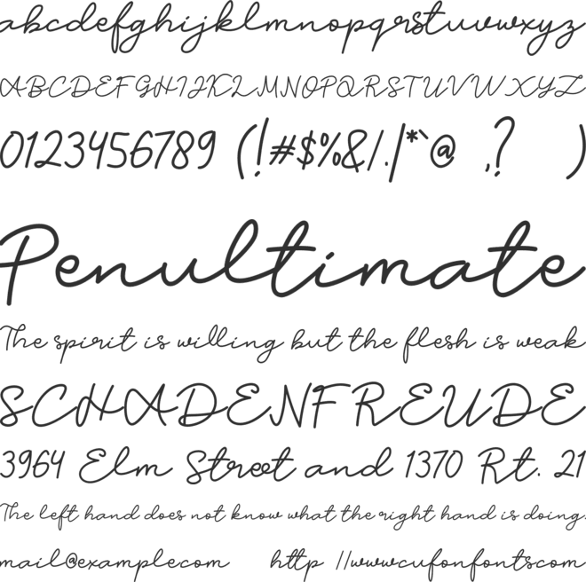 Candia Script Font font preview