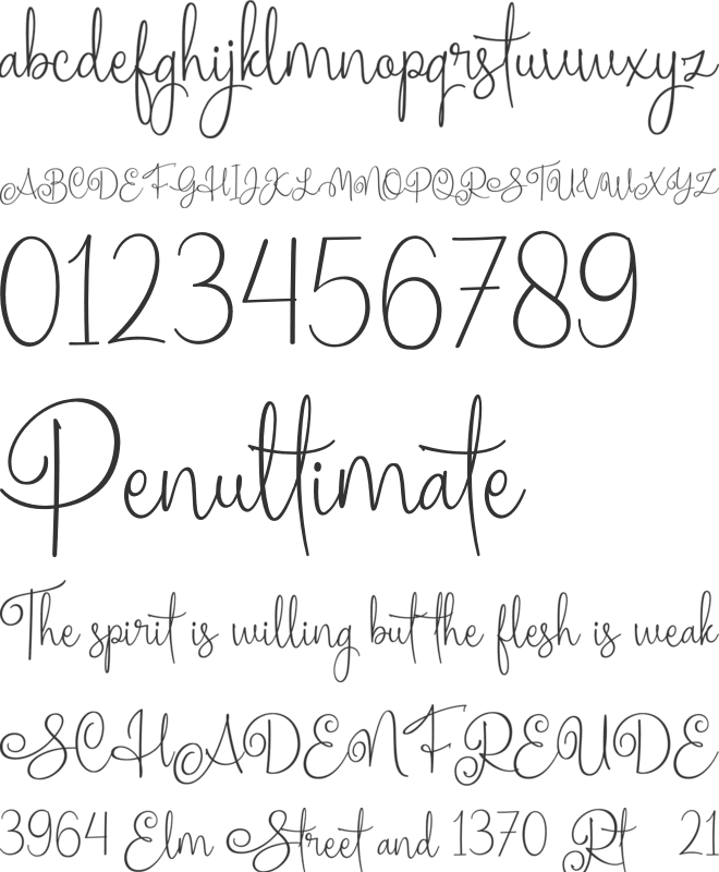 Homogenic font preview