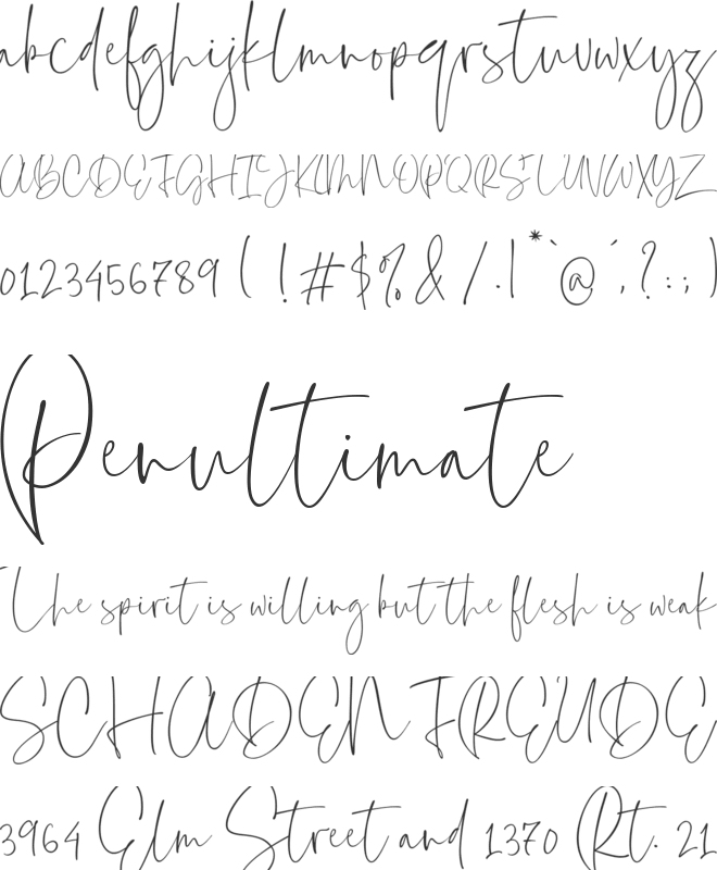 Everleigh Signature Script font preview