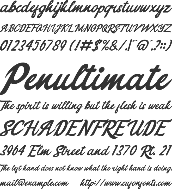 Cindy Julia font preview