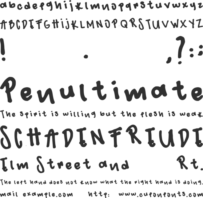 Cam font preview