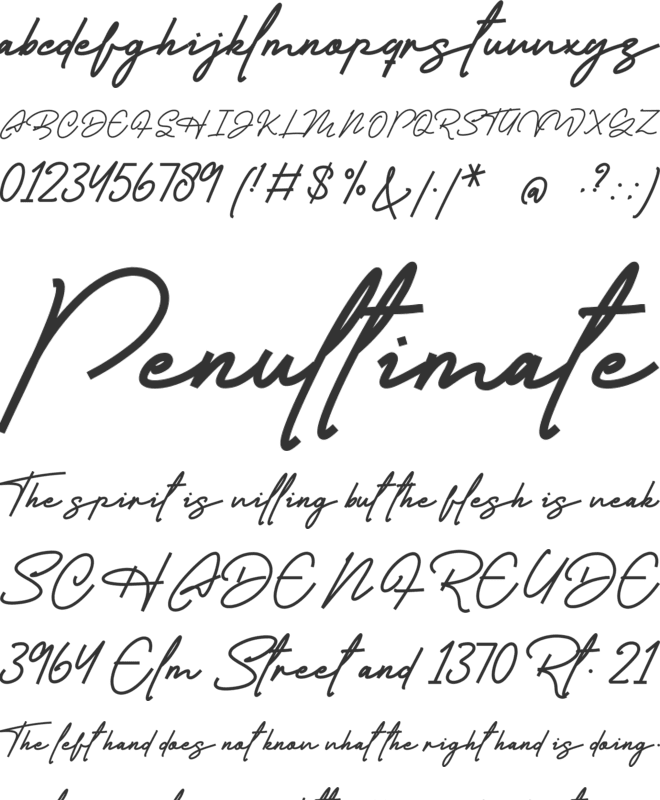 Casablanca font preview