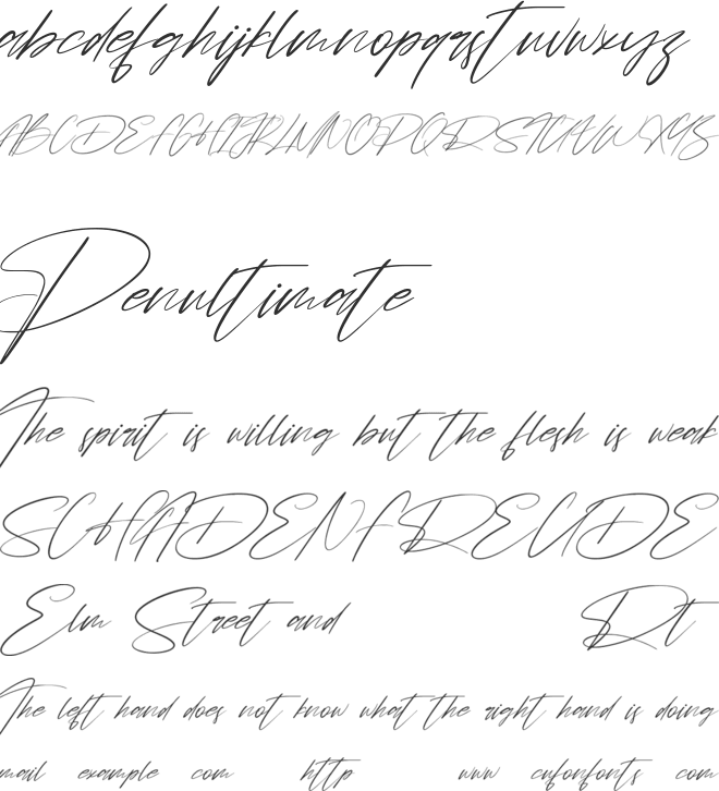 Chintia Free font preview