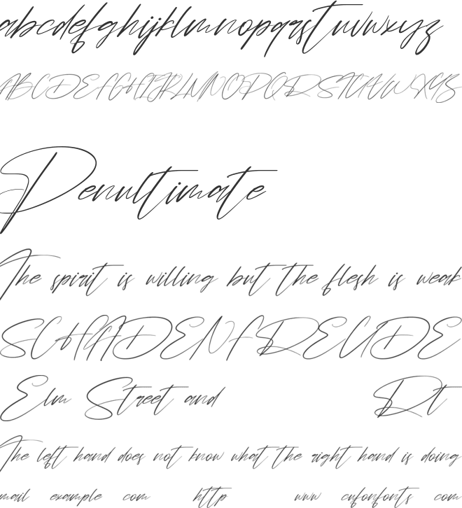 Chintia Free font preview