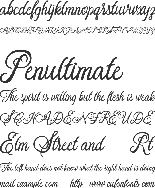 Orlandia FREE font preview