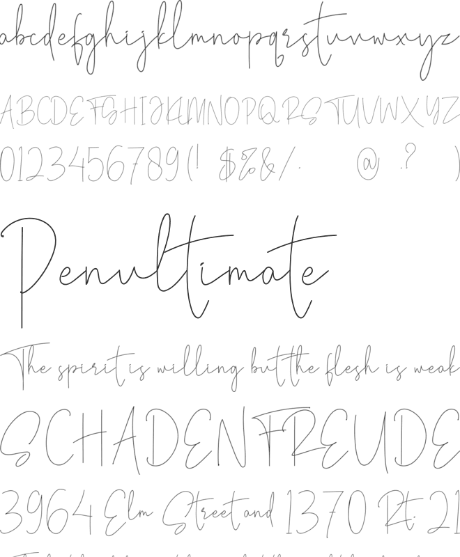 Viollet Signatture font preview