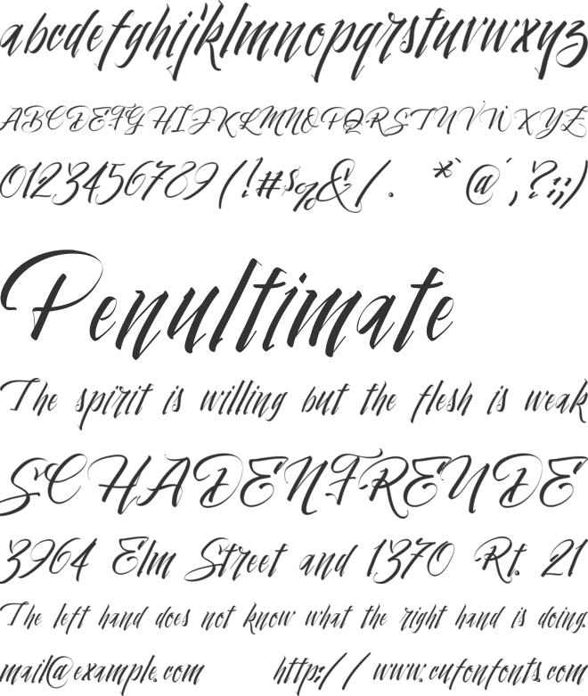 Vtks Beleza Pura font preview