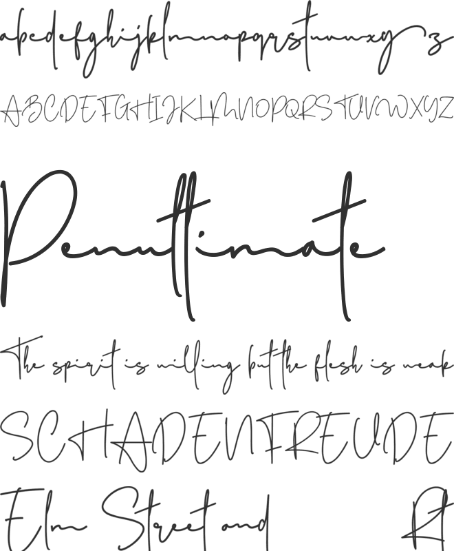 Amsterday font preview