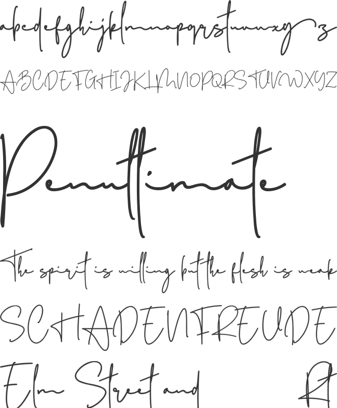 Amsterday font preview