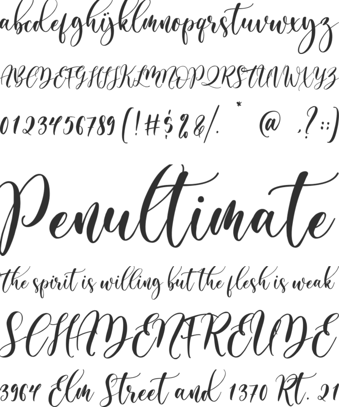 almond whisp font preview