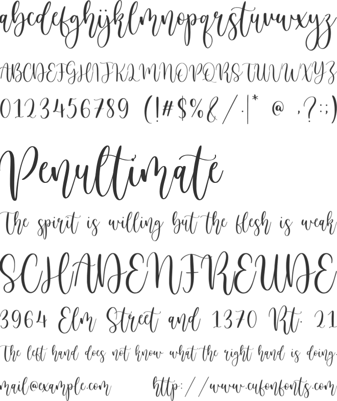 Birdside font preview