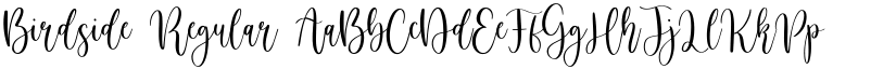 Birdside Regular font