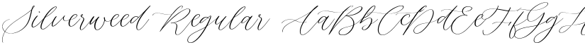 Silverweed Regular font