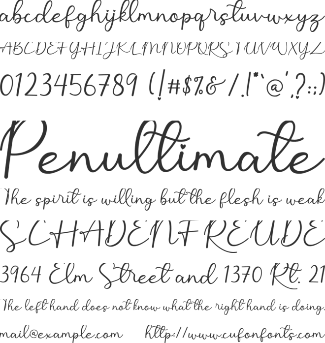 Monallesia Script font preview