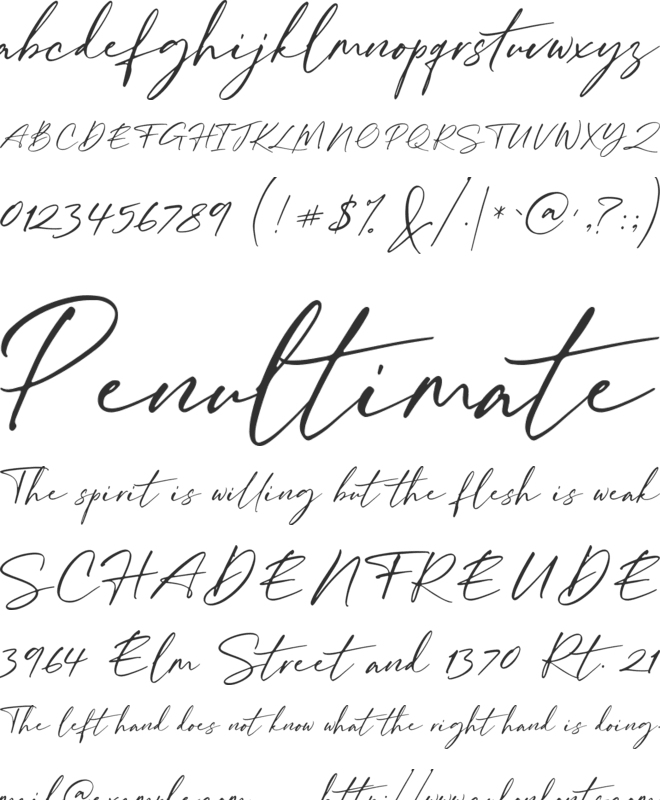 William Costinavel font preview