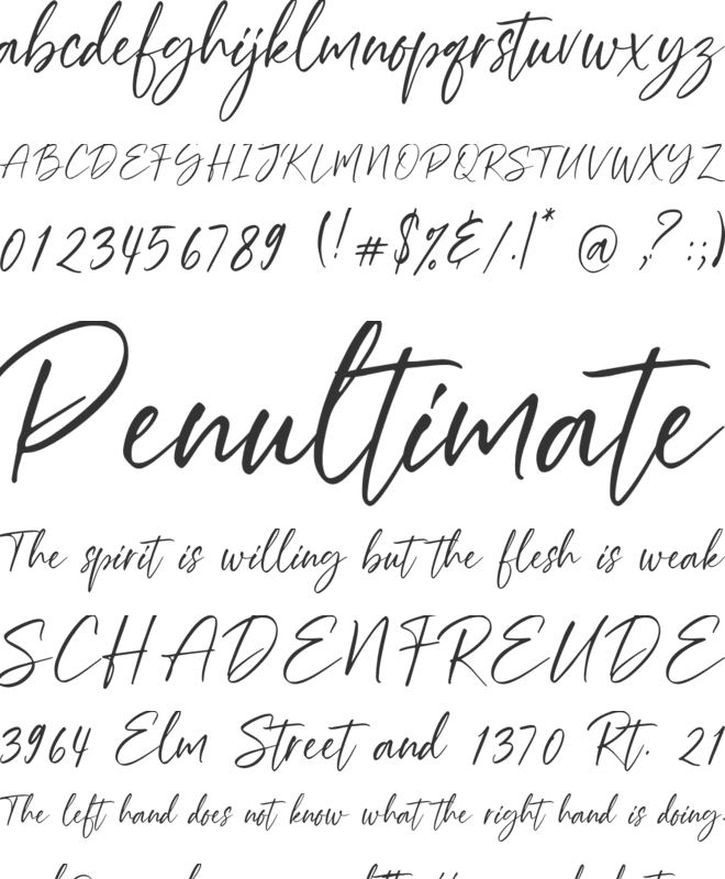 Renitta font preview