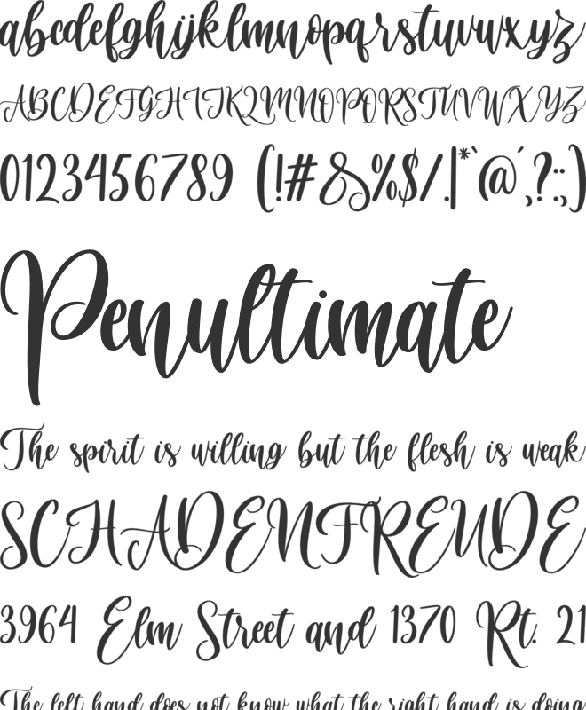 Virgi Ella font preview