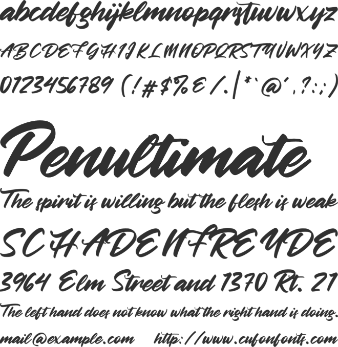 Betty Finty font preview