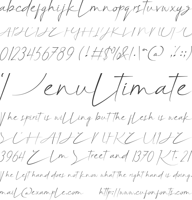 Belligiant font preview