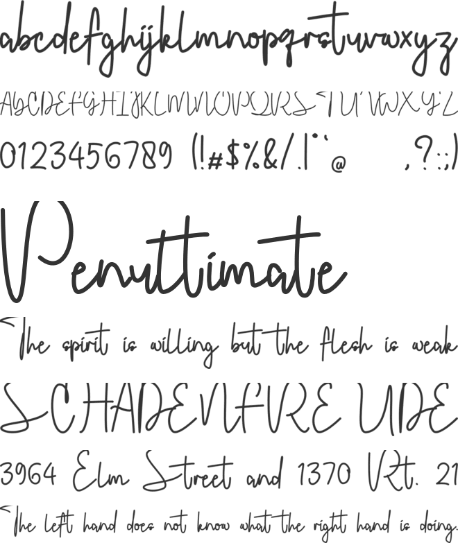 Louise Fleur font preview