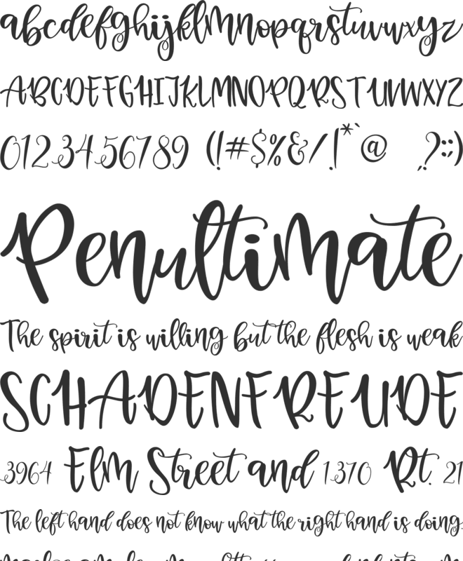 Holly Days font preview