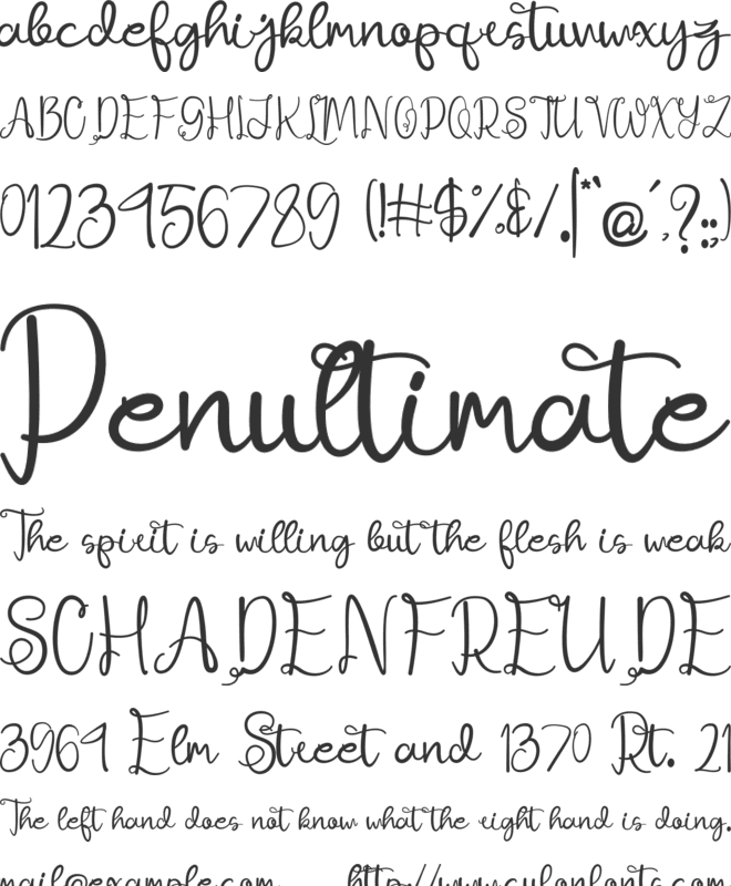 Ajuslly font preview