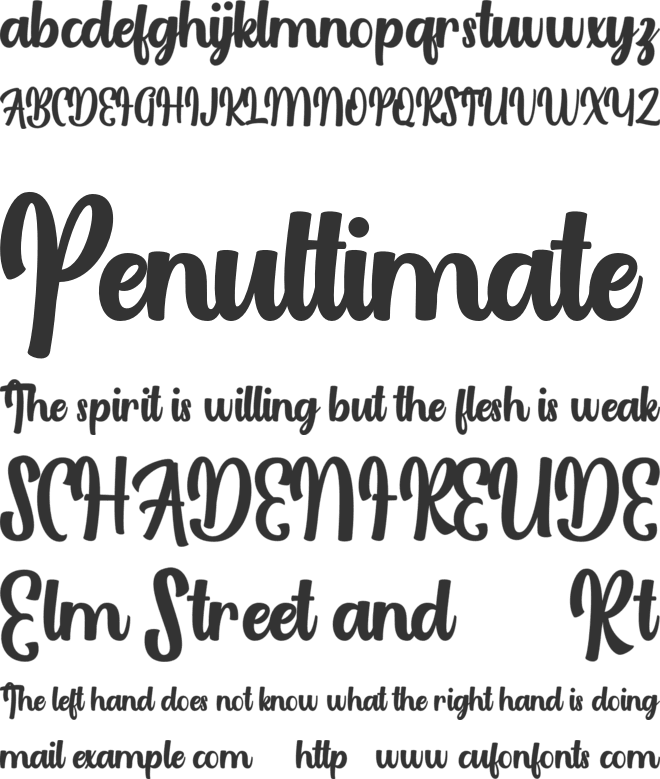 Laggran Script FREE font preview