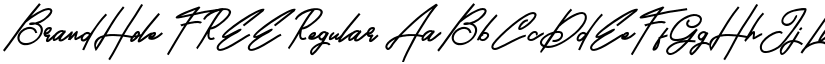 BrandHole FREE Regular font