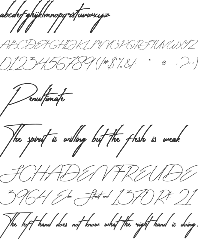 Antica Signature font preview
