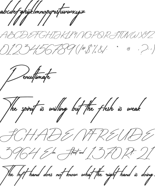 Antica Signature font preview