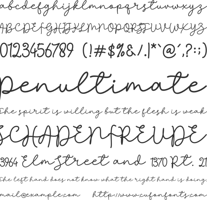sheenline script font preview