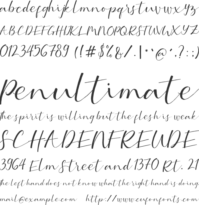 Serotonin font preview