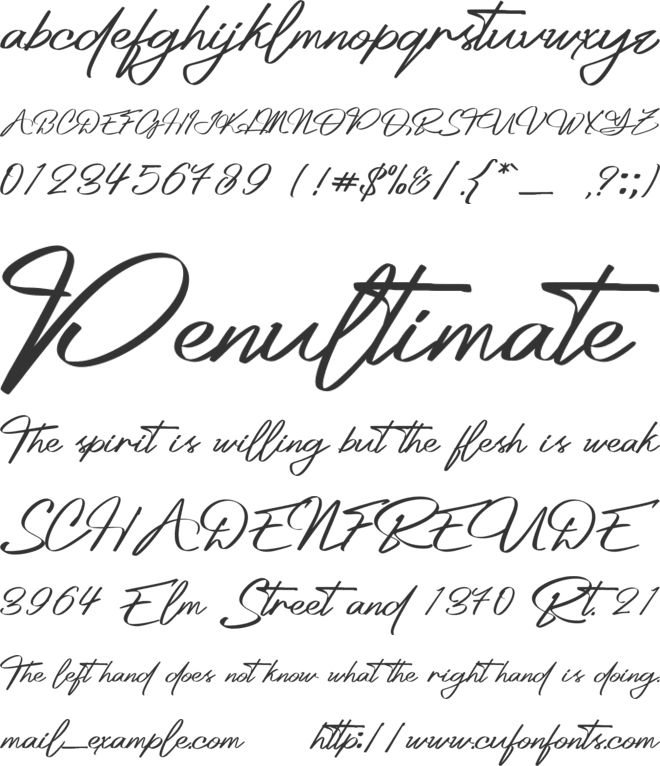 Platinum Signature font preview