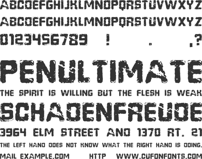 Riesa font preview