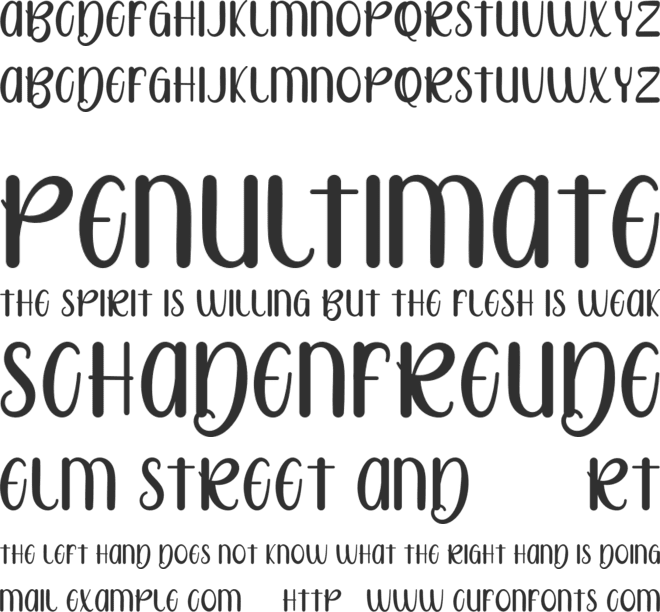 Rotter Bradly FREE font preview
