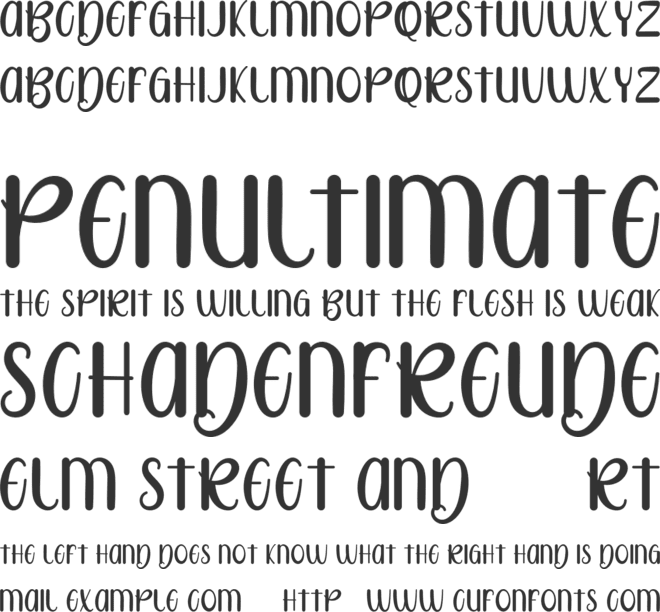 Rotter Bradly FREE font preview