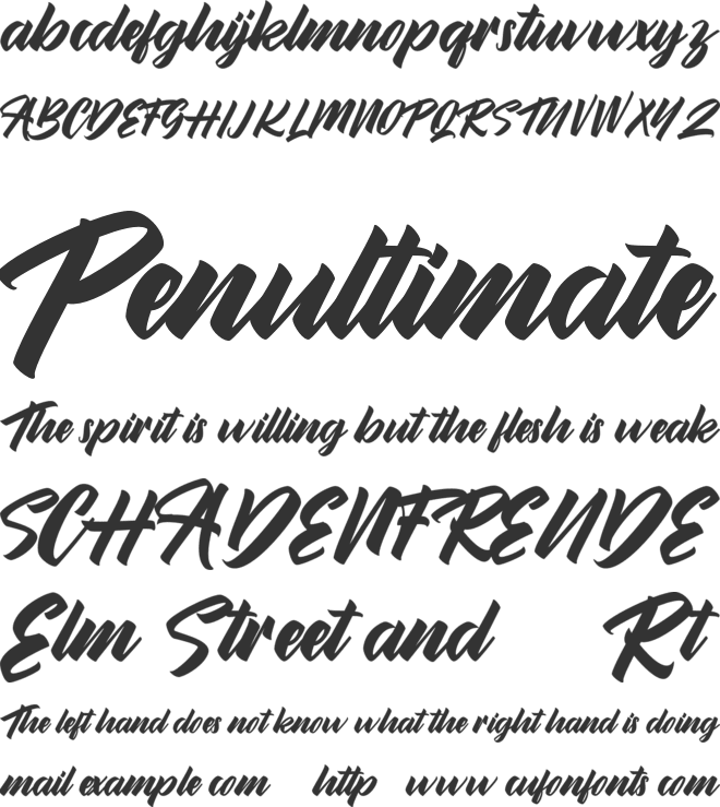 Brilyon Script FREE font preview